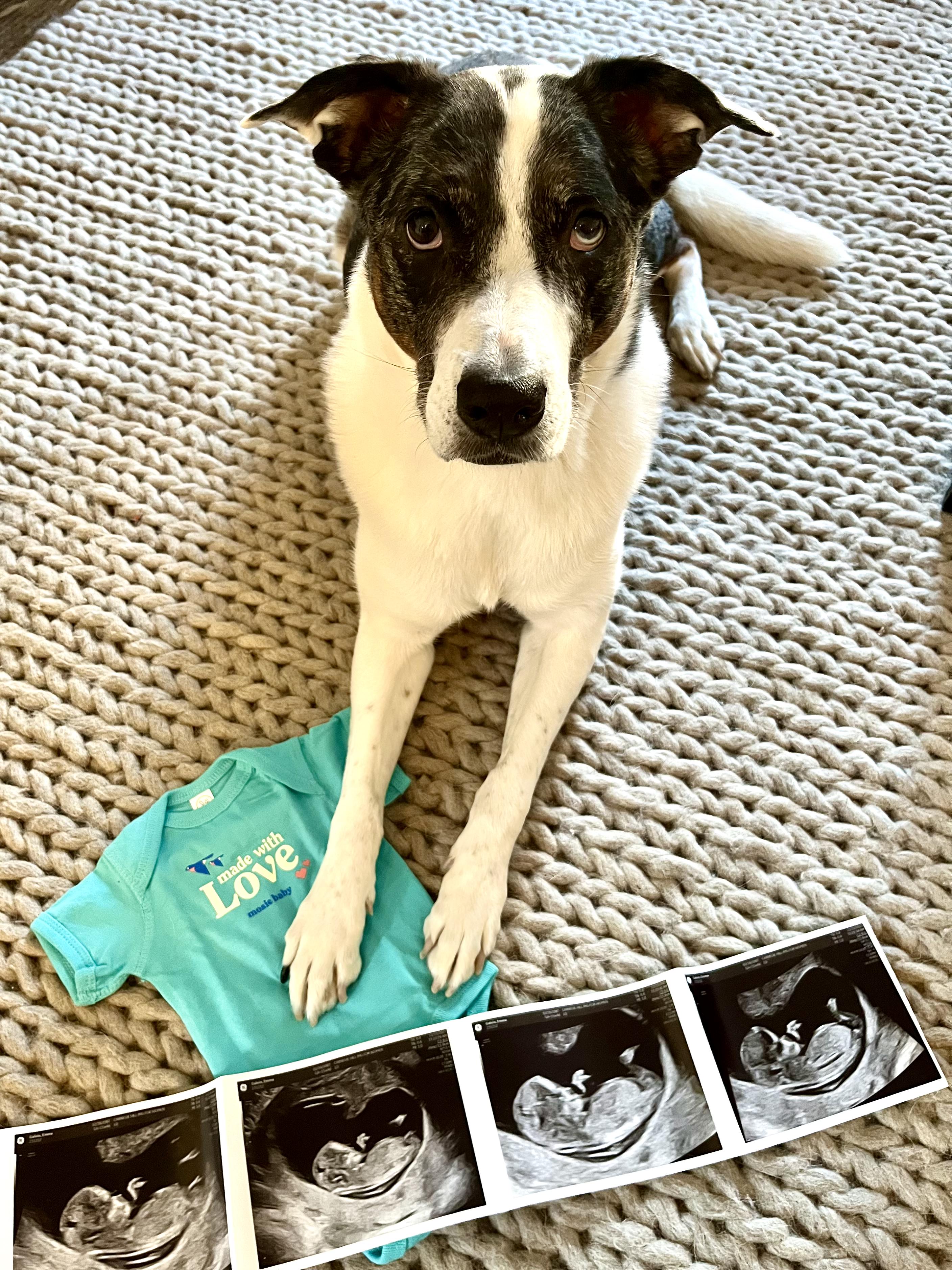 Pregnancy Announcement