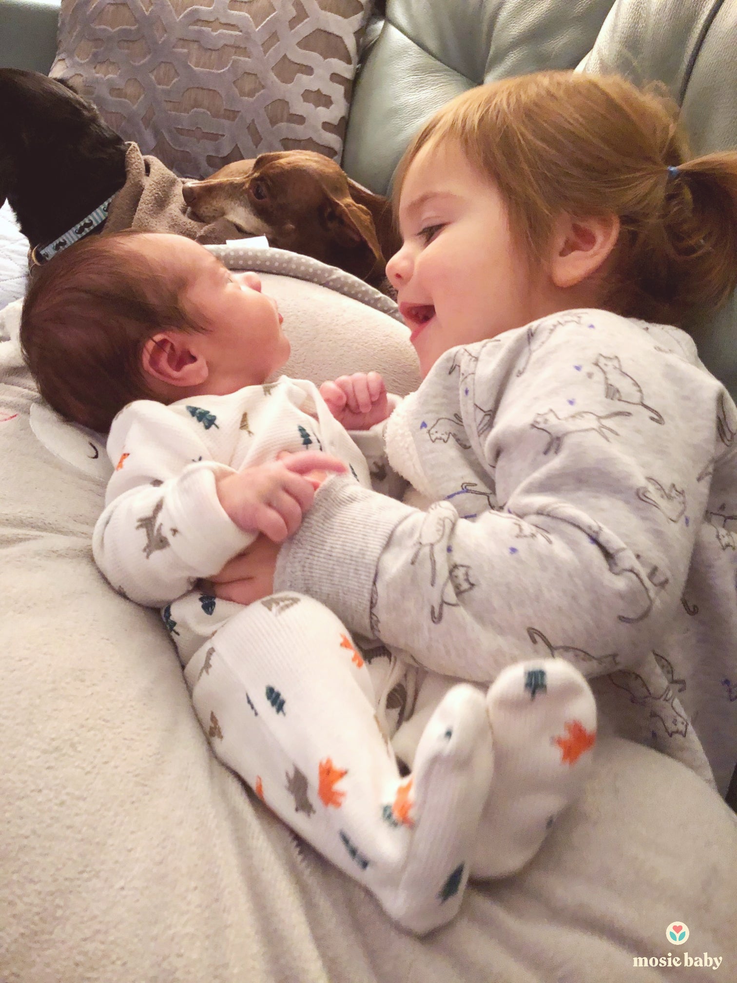 Baby Number Two En Route Using Same Donor Sperm with Help from Mosie