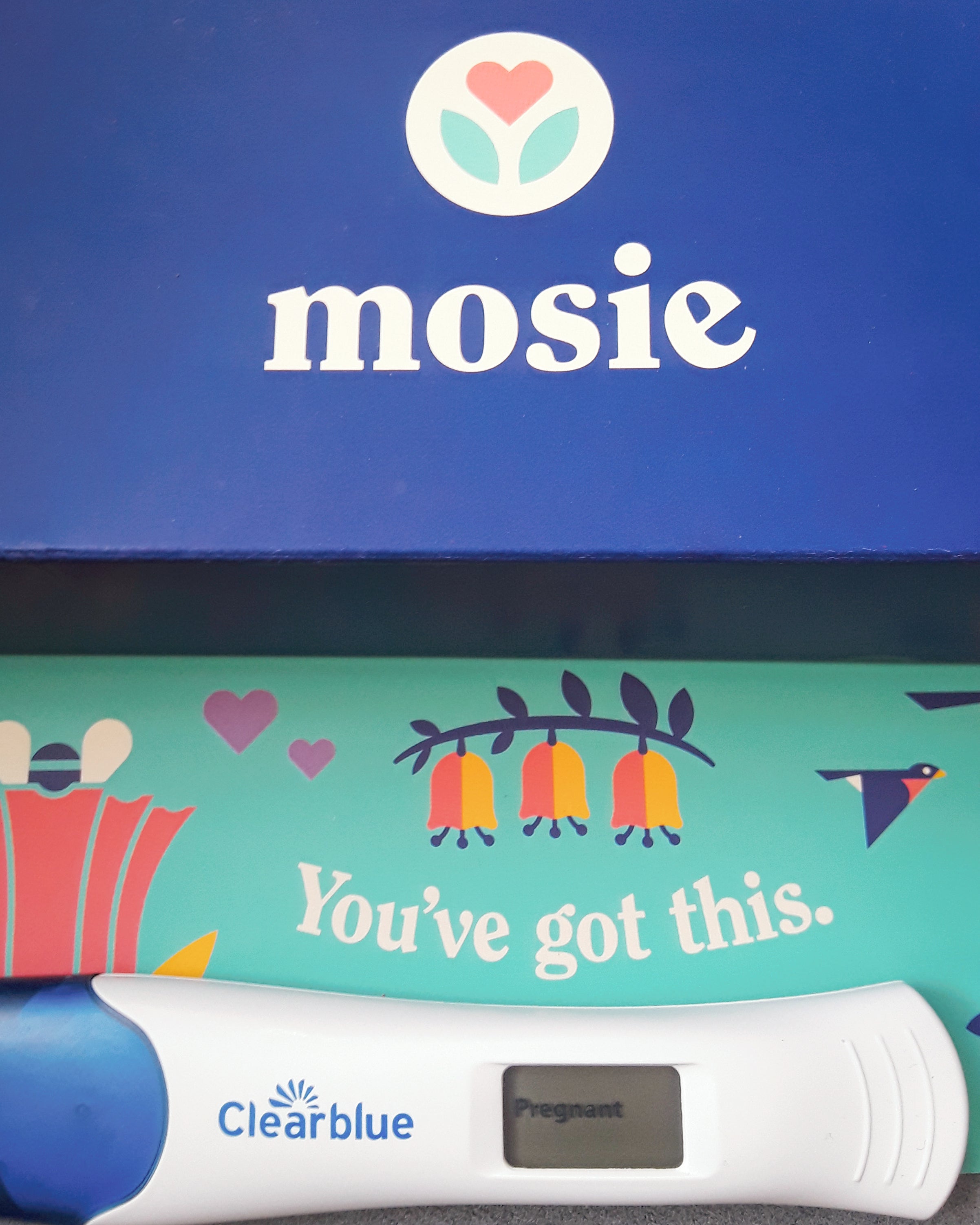Mosie Helped Make One Happy Little Girl A Big Sis!