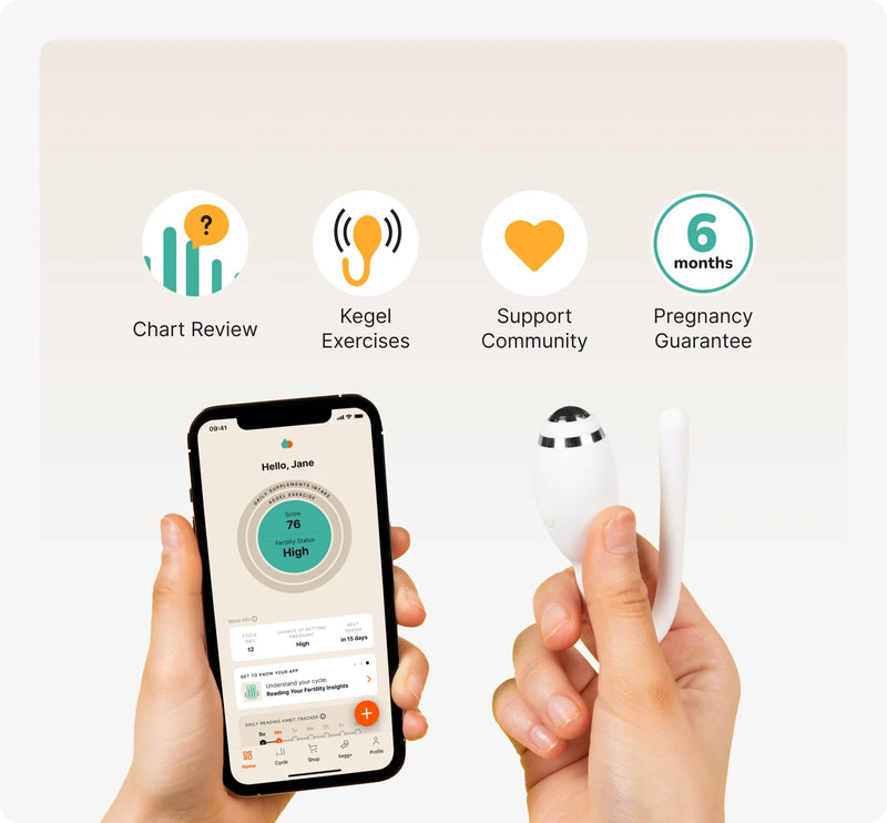 kegg fertility tracker and kegel ball